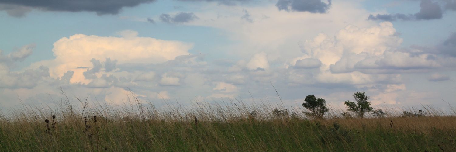 Alertbowler299 banner