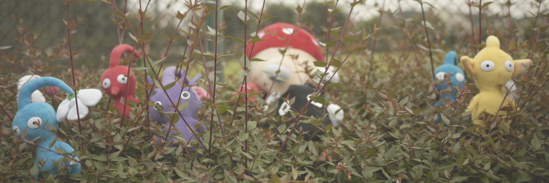 huuDORA's profile banner image