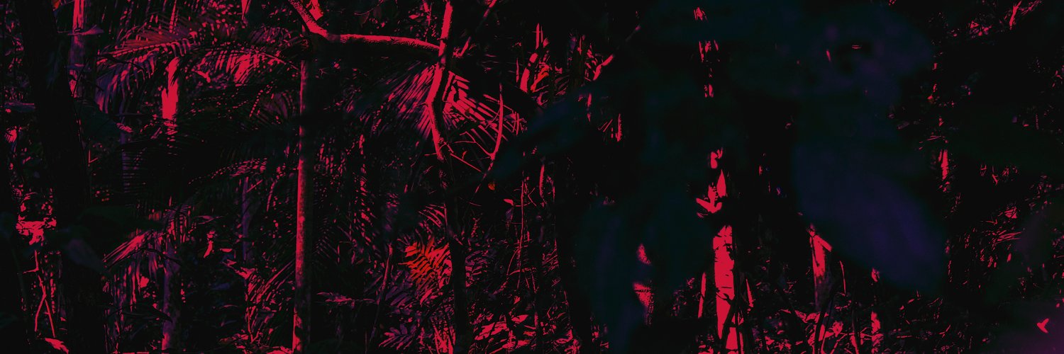 leblinerecords's profile banner image