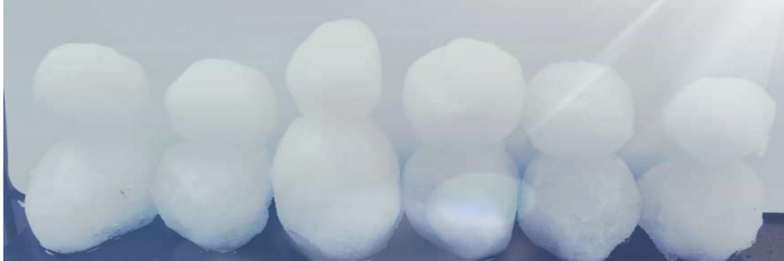 ぽんちゃん ❁ banner