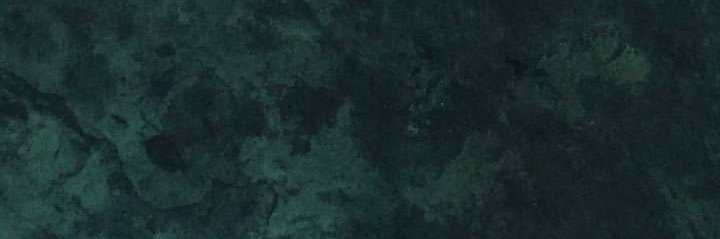 Monika Schönauer's banner