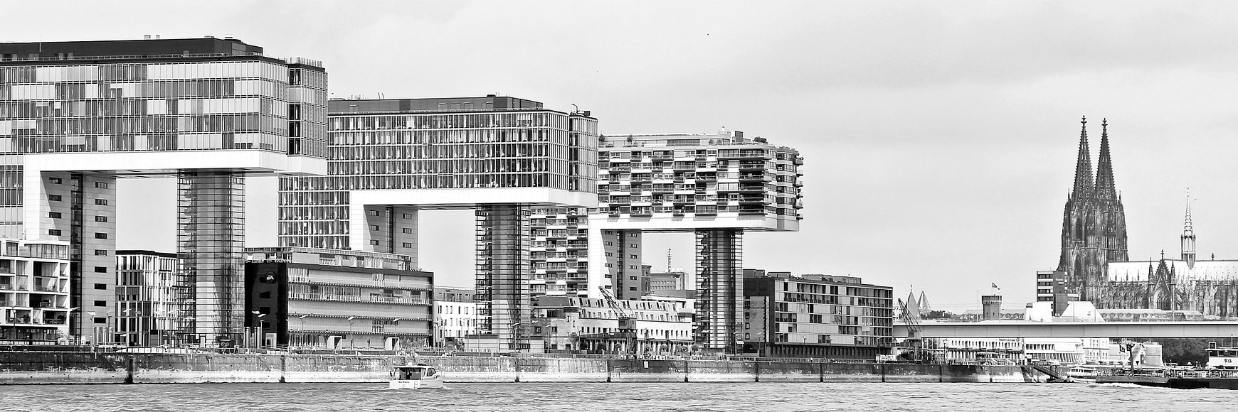 Bear Consulting banner