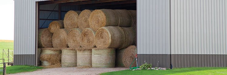 Andre Ramirez banner