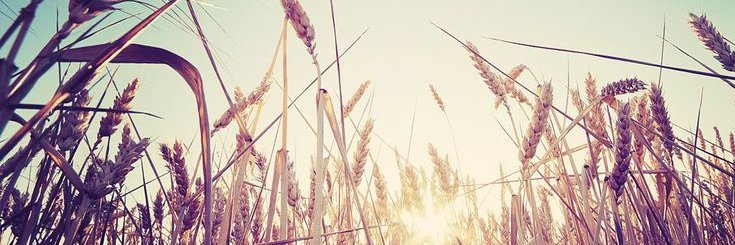 94_norhan's profile banner image