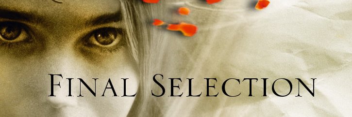 SelectionFinal's profile banner image