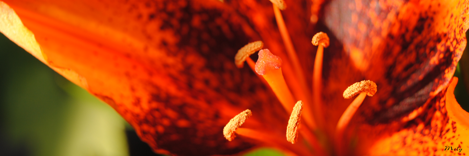 _Eretia's profile banner image