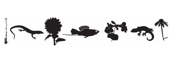 TrisDodge Profile Banner