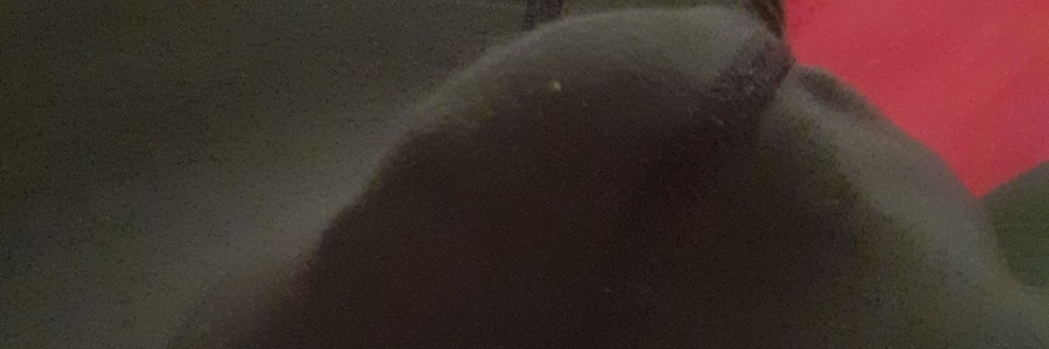 torido banner