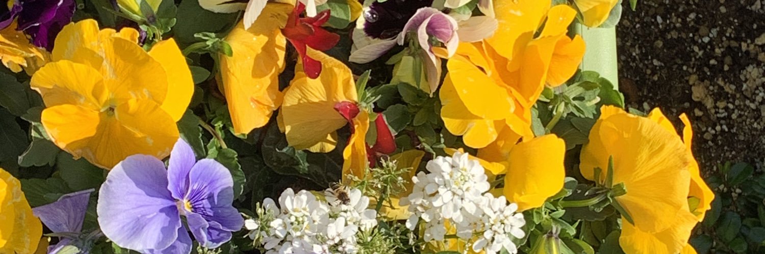 h_jibi's profile banner image