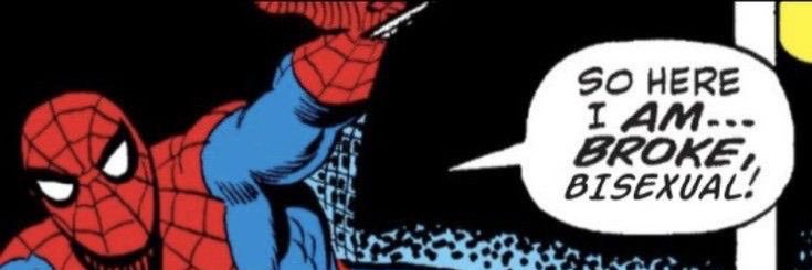 skiesbear's profile banner image