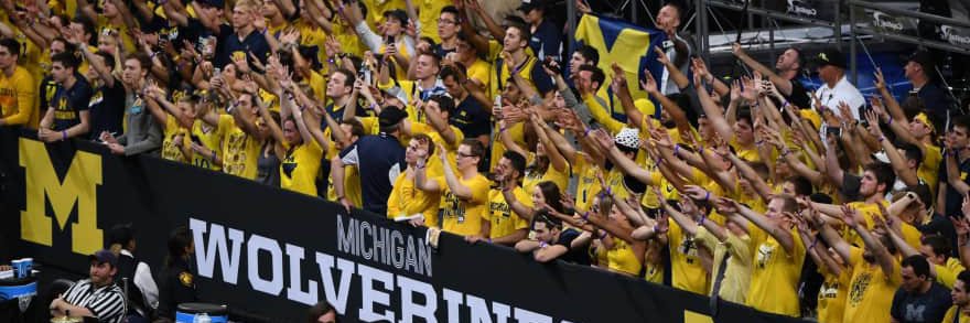 Wolverine Center banner