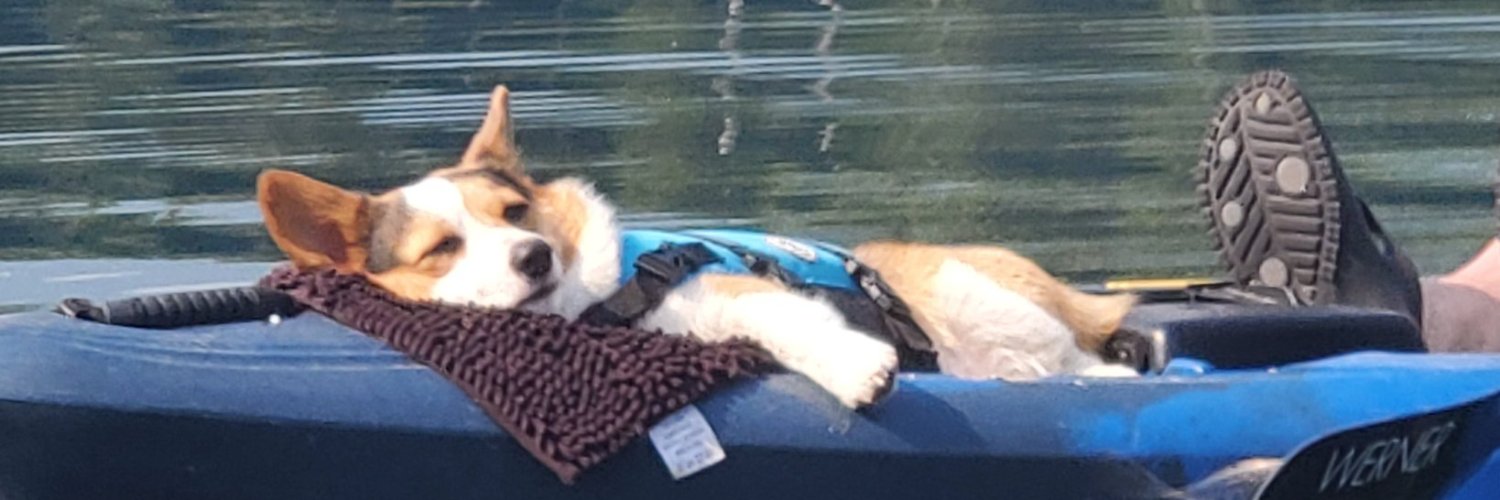 Pebbles DaCorgi & Teddy banner