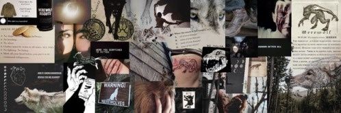 CJNephilim's profile banner image