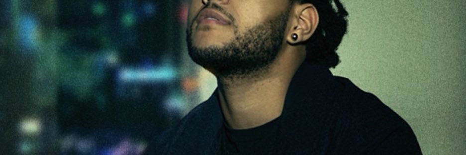 playboylee_'s profile banner image