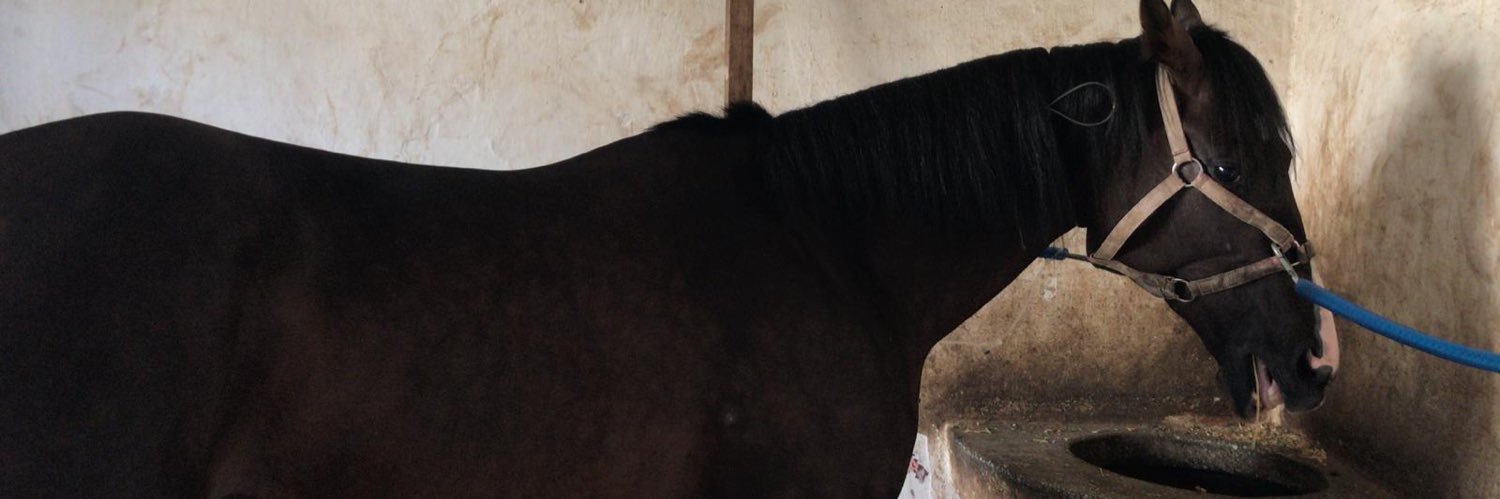 snlmuslu's profile banner image
