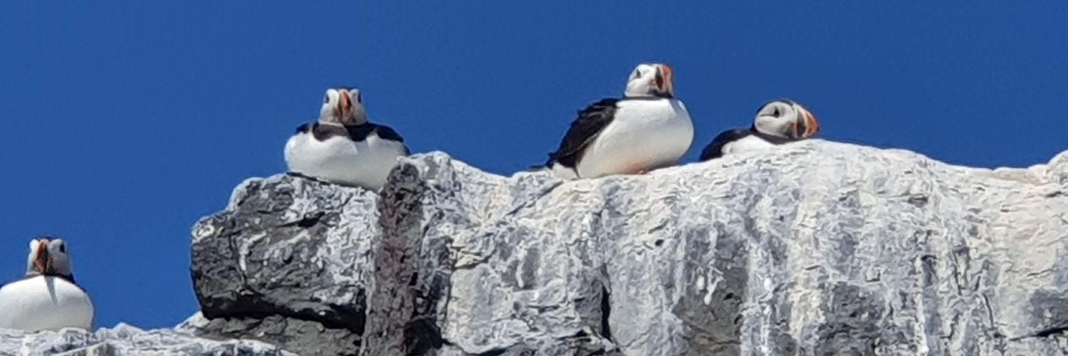 Vicky Hogarth banner