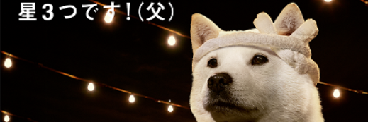 greeeen1's profile banner image