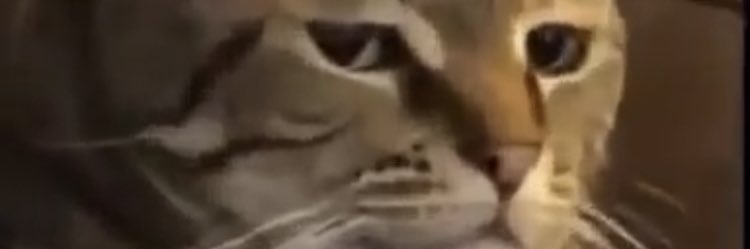 Drew_Mo_'s profile banner image