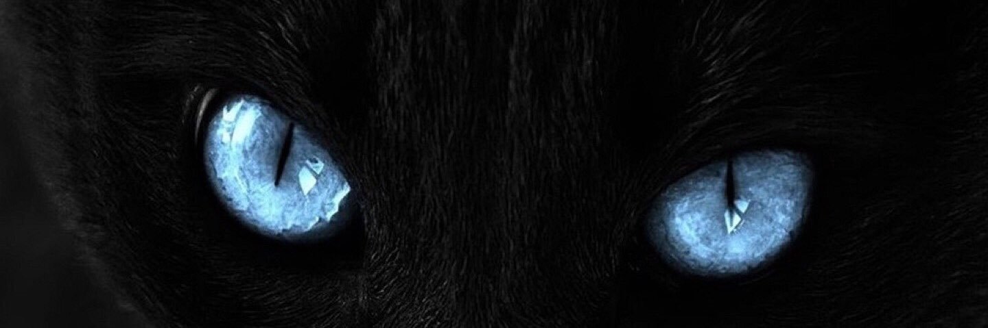 arditridian's profile banner image