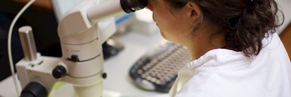 ImmunoValley's profile banner image