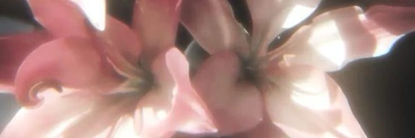 santherynlol Profile Banner