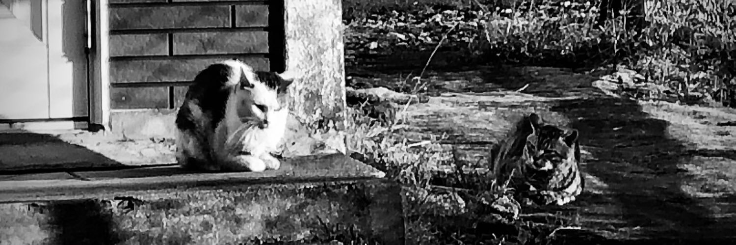 枝@函館釣り banner