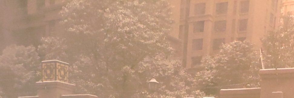 wzxalt's profile banner image