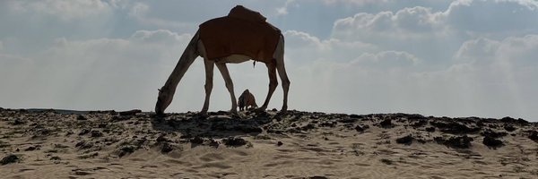 Arasci9 Profile Banner