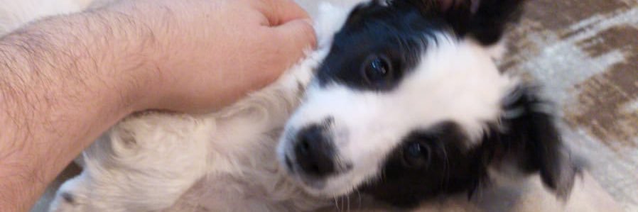kisiselbeyinsiz's profile banner image