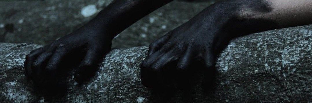 Лиса| Жабелло ждуля 🐸 banner