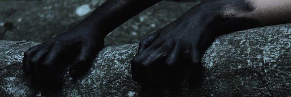 _lisahosh_ Profile Banner