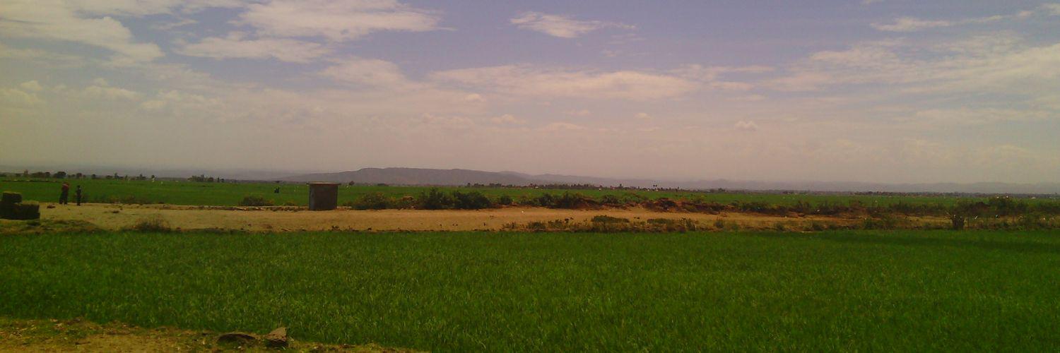 faizaljeraj's profile banner image