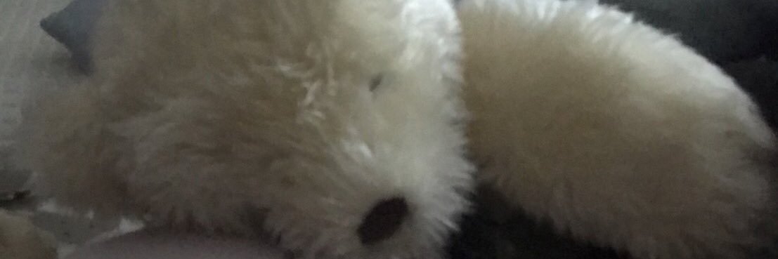 リディア　4/18 アニウン(生き残り隊Frontier) banner