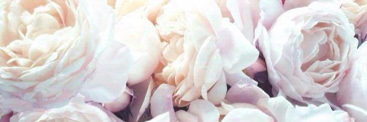 Swahia's profile banner image