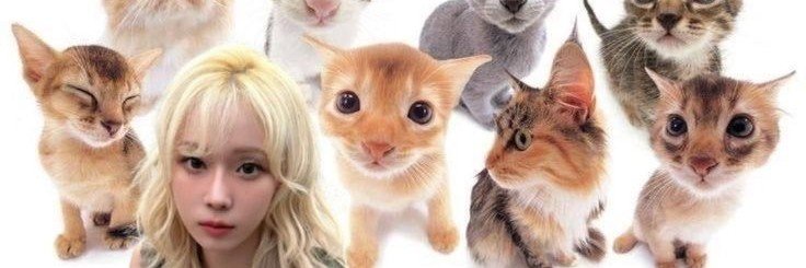 odyyyy banner