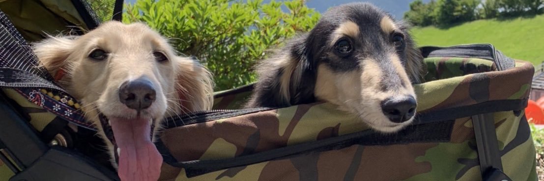 甚助（jinske12） banner