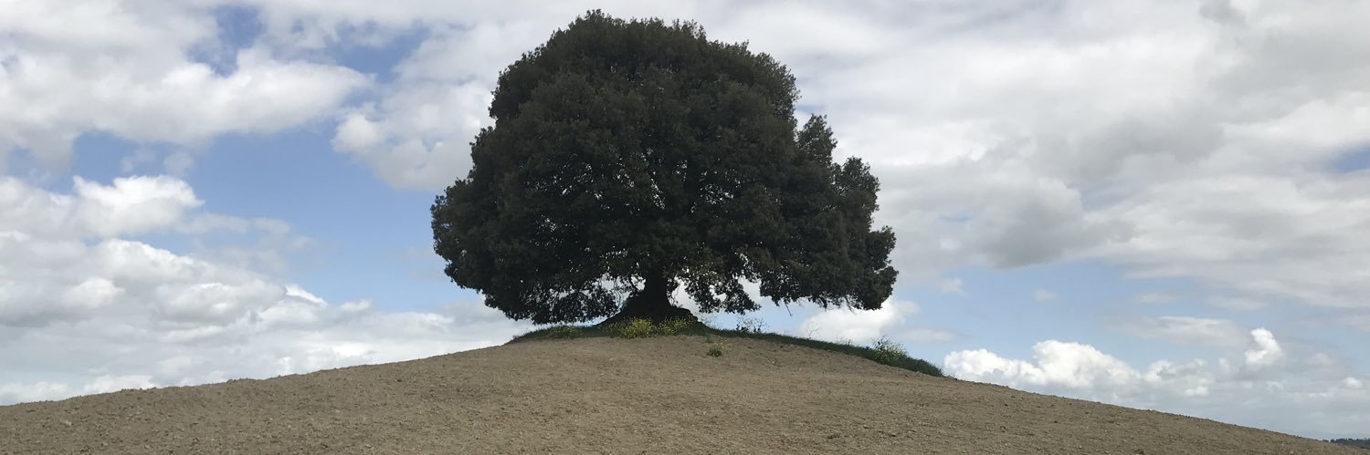 ♤ Pυɾρყ ♤ banner