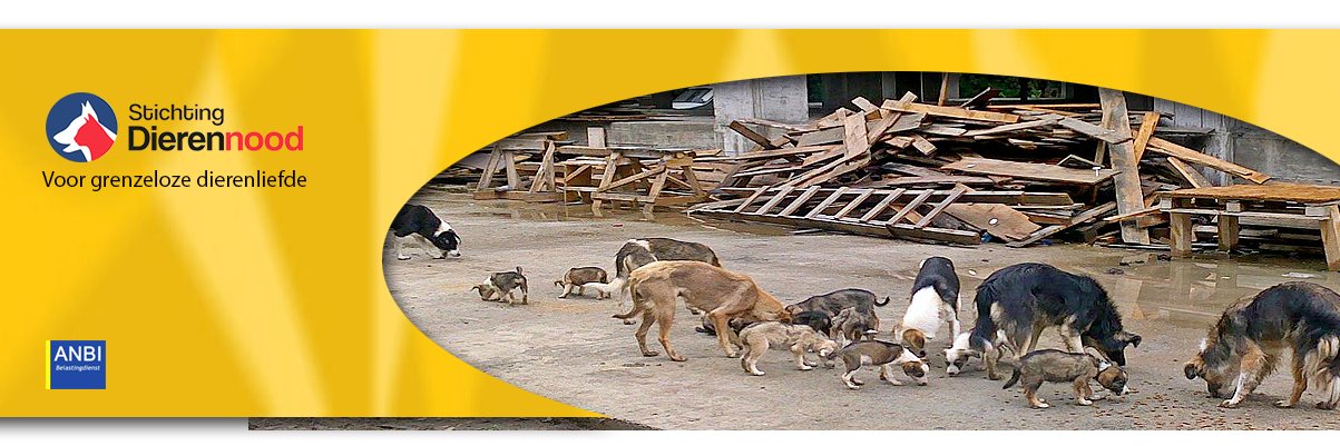 Stichting Dierennood banner