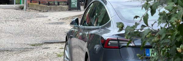 DikanGabor Profile Banner