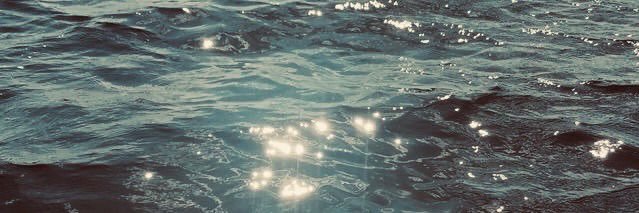 rue 🦋 SPNNJ banner