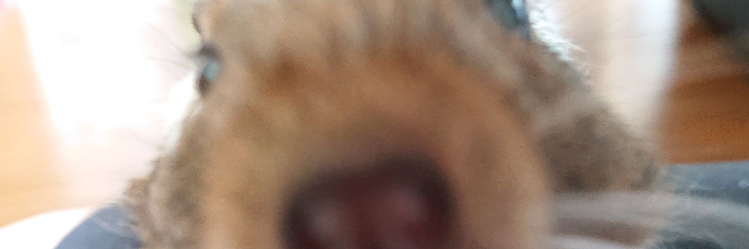 gomanya's profile banner image