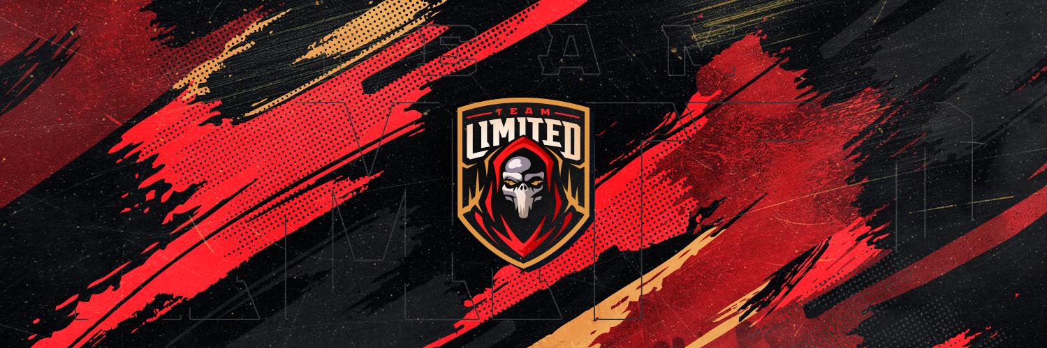 Team Limited banner