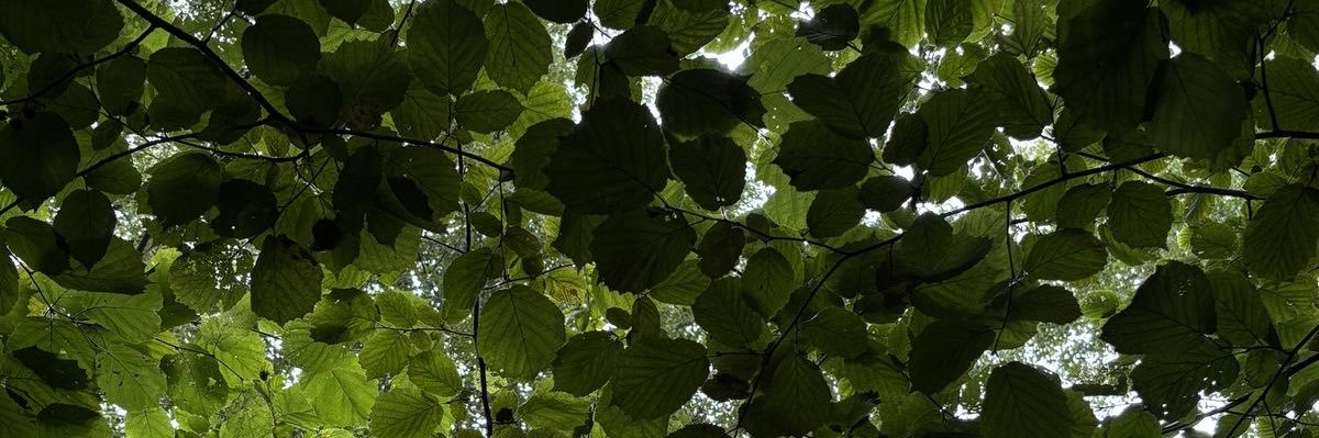 Mark_Miless's profile banner image