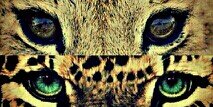 Claudiia_CF's profile banner image