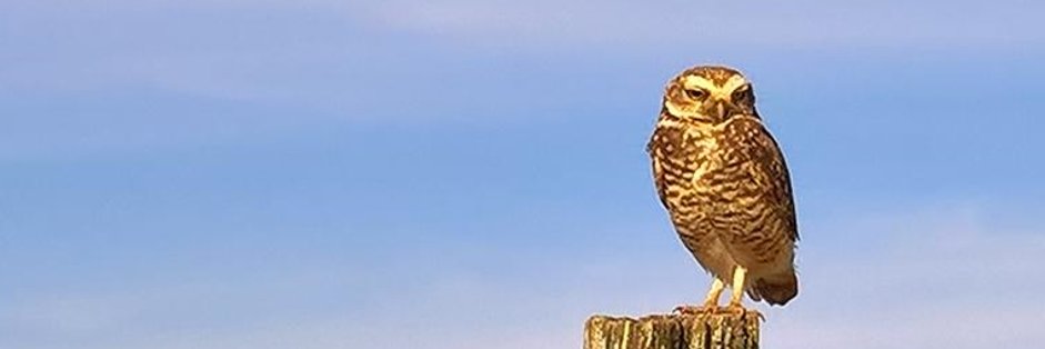 arthur_cad's profile banner image