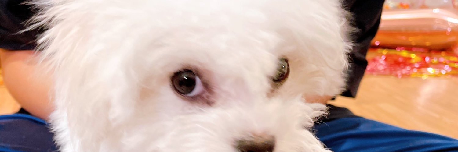 fullsun_000606's profile banner image