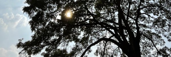 Chimonac Profile Banner