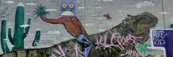 RideTheIguana Profile Banner