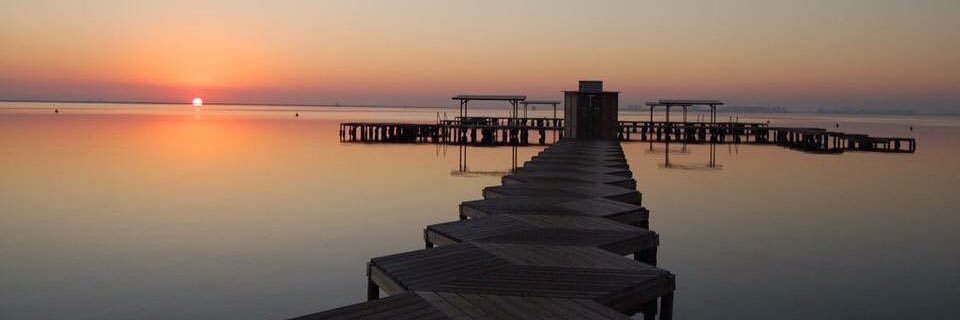 Salvador Garcia-Ayllon banner