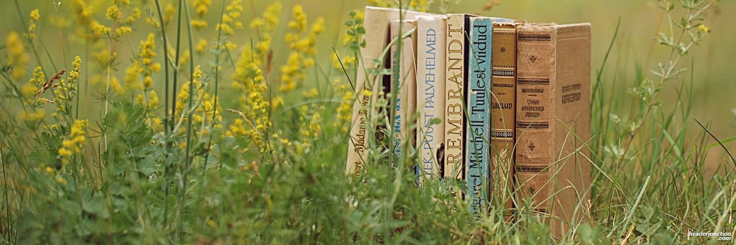 Beth Apone Salamon banner